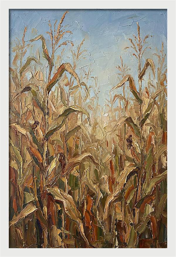 Summer Cornfield Serenity