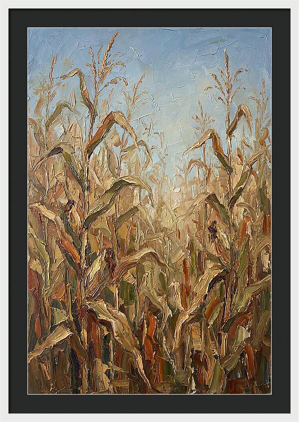 Summer Cornfield Serenity