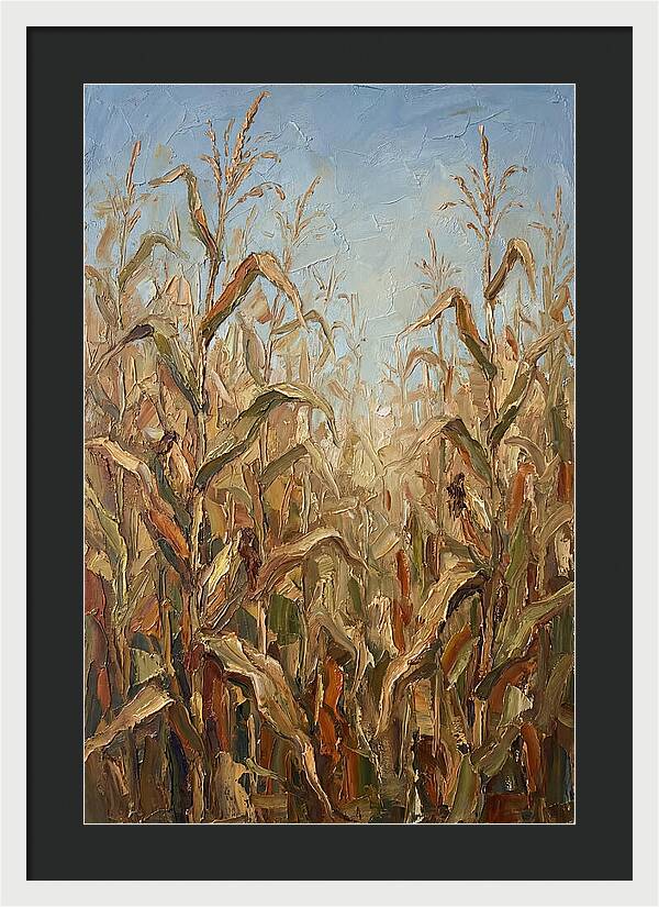 Summer Cornfield Serenity
