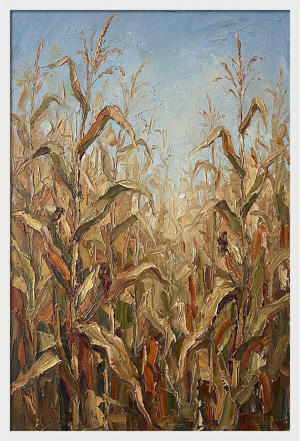 Summer Cornfield Serenity