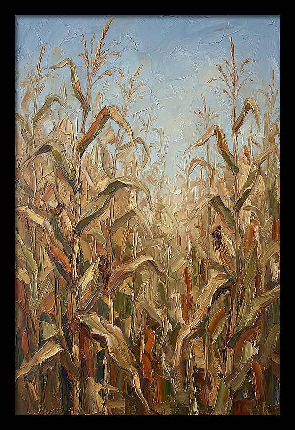 Summer Cornfield Serenity