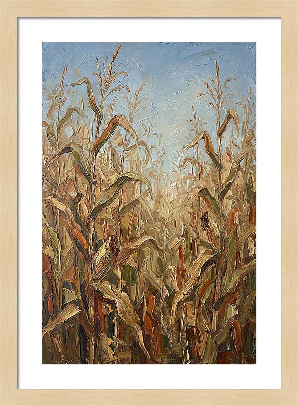 Summer Cornfield Serenity