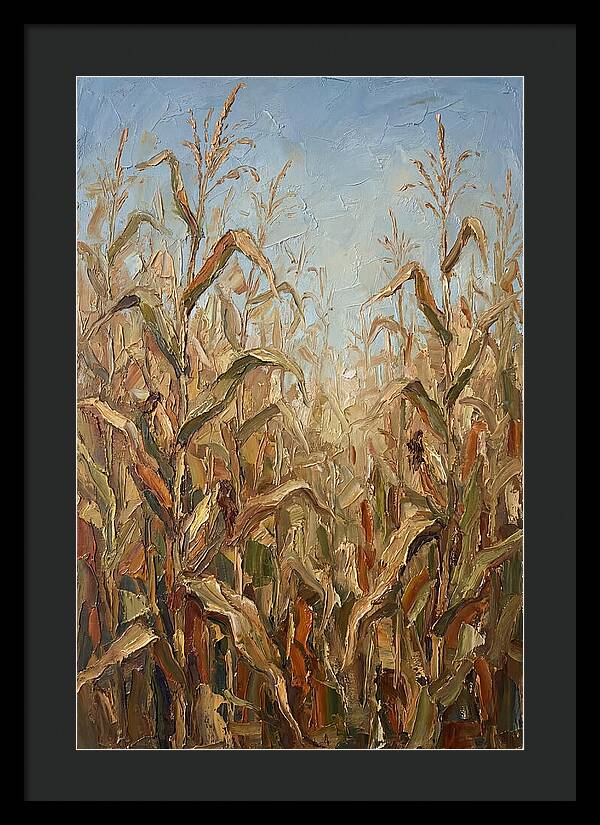 Summer Cornfield Serenity