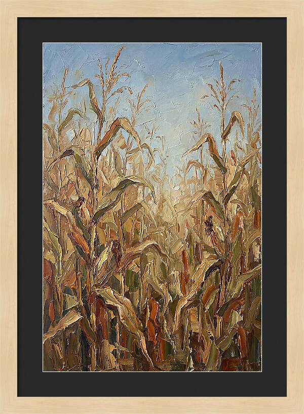 Summer Cornfield Serenity