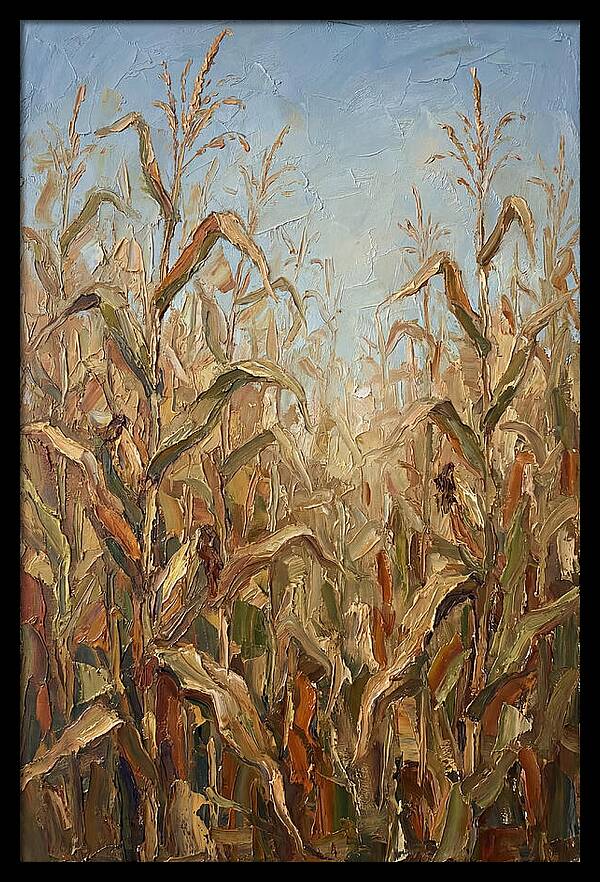 Summer Cornfield Serenity