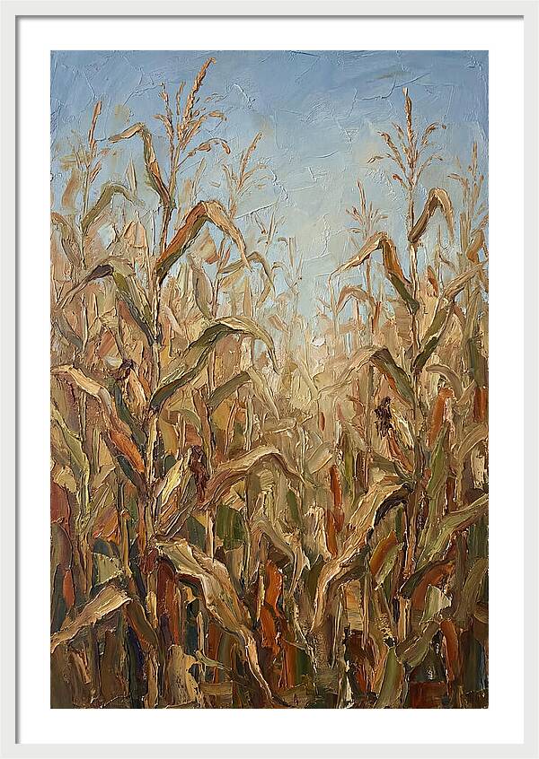 Summer Cornfield Serenity