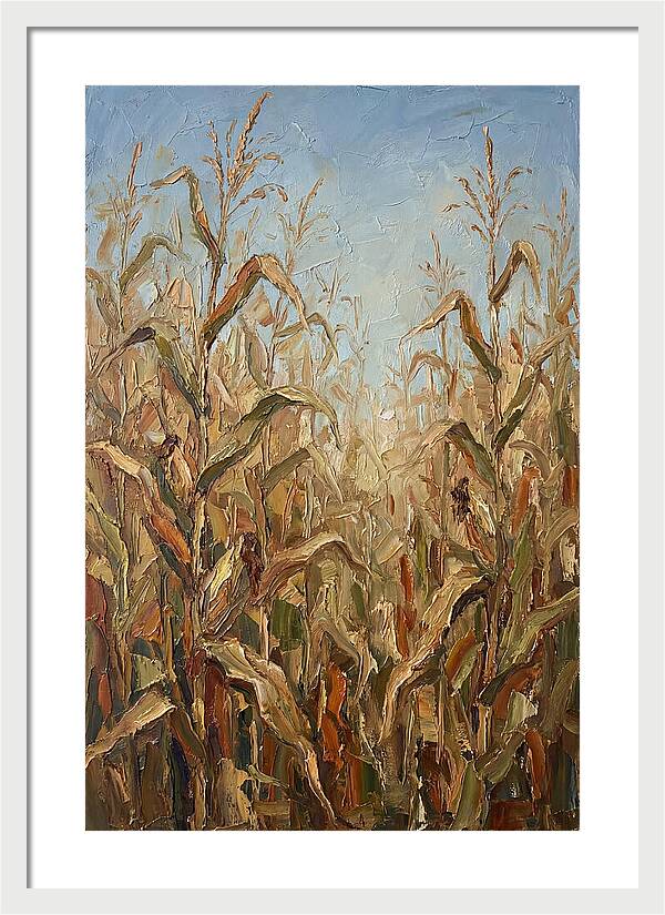 Summer Cornfield Serenity