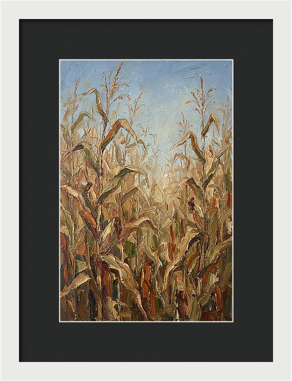 Summer Cornfield Serenity