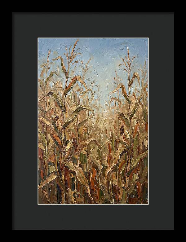Summer Cornfield Serenity
