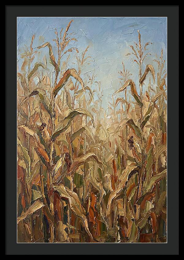 Summer Cornfield Serenity