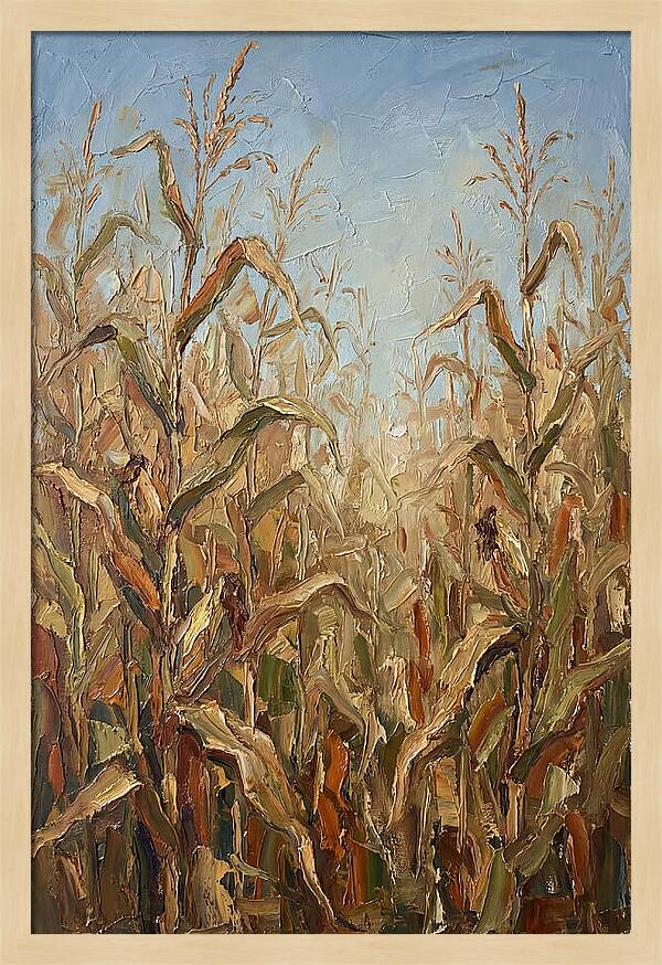 Summer Cornfield Serenity