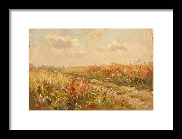 Summer Field Serenity