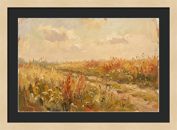 Summer Field Serenity