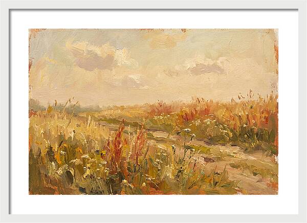 Summer Field Serenity