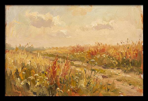 Summer Field Serenity