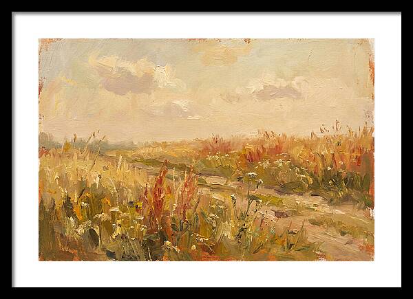 Summer Field Serenity