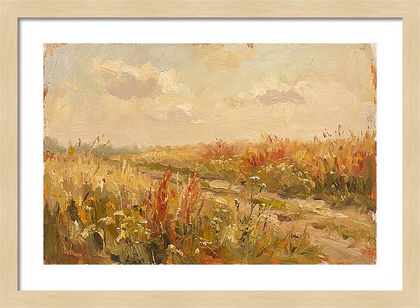 Summer Field Serenity