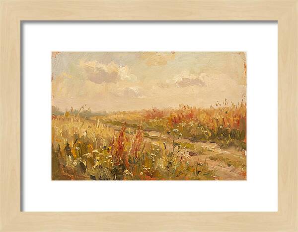 Summer Field Serenity