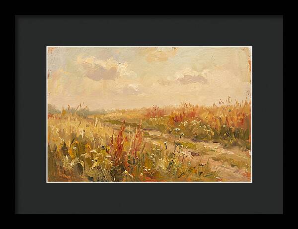 Summer Field Serenity