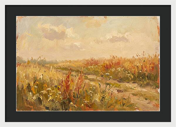 Summer Field Serenity