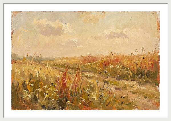 Summer Field Serenity