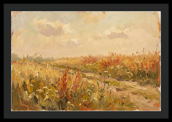 Summer Field Serenity