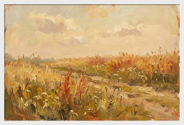 Summer Field Serenity