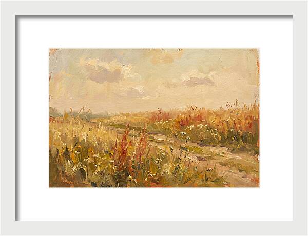Summer Field Serenity