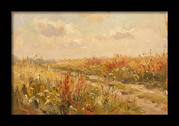 Summer Field Serenity