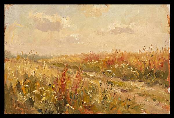 Summer Field Serenity