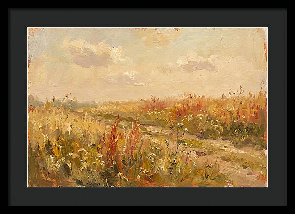 Summer Field Serenity