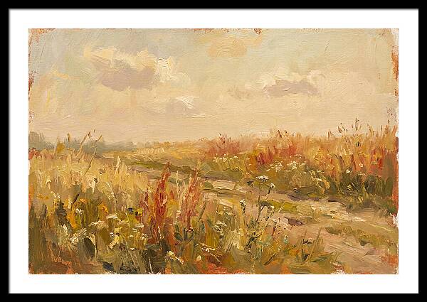Summer Field Serenity