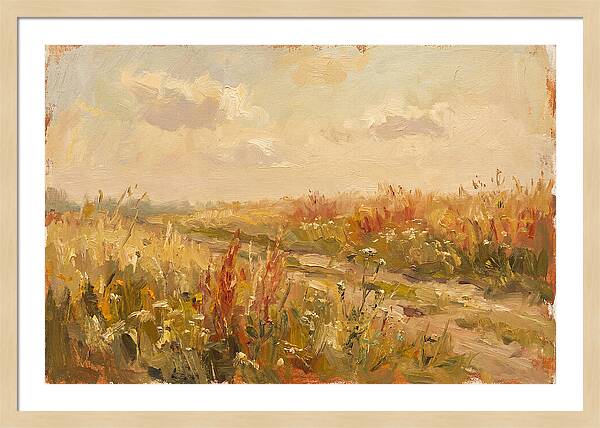 Summer Field Serenity