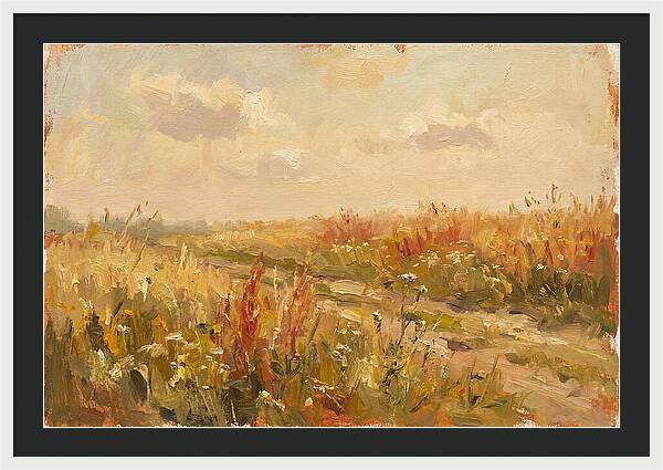 Summer Field Serenity