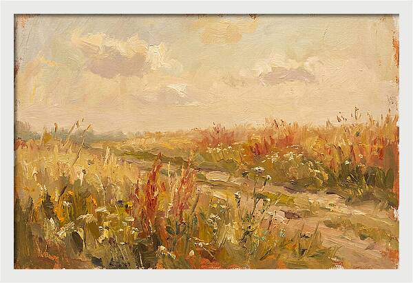 Summer Field Serenity