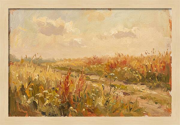 Summer Field Serenity