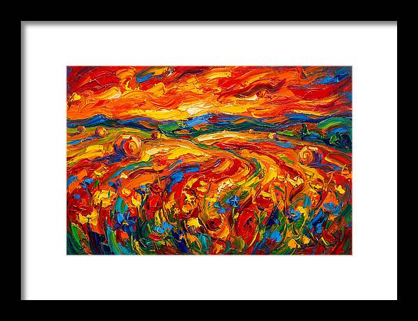 Summer Field Vibrance