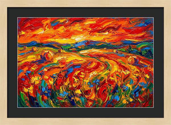 Summer Field Vibrance