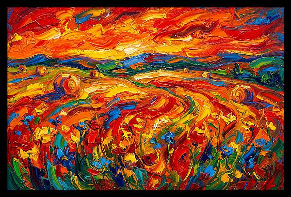 Summer Field Vibrance
