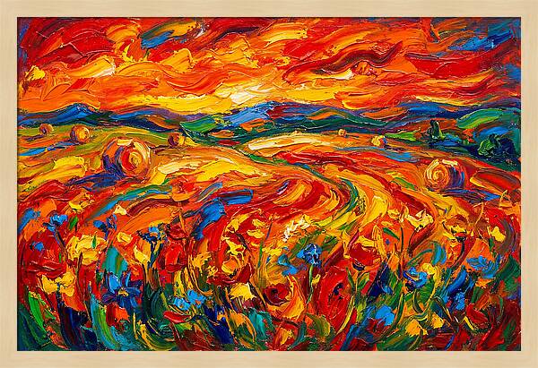 Summer Field Vibrance