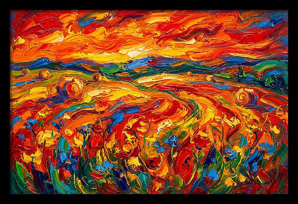 Summer Field Vibrance
