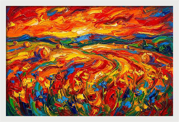 Summer Field Vibrance