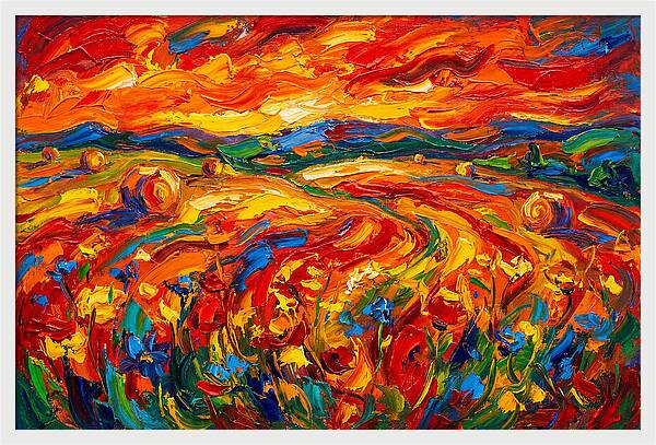 Summer Field Vibrance