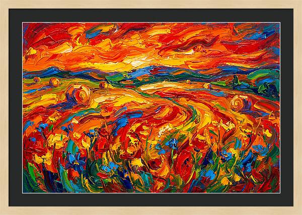 Summer Field Vibrance