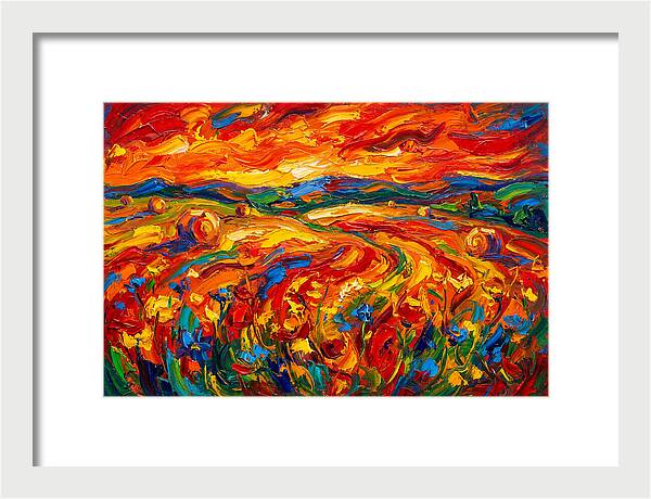 Summer Field Vibrance