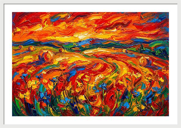 Summer Field Vibrance