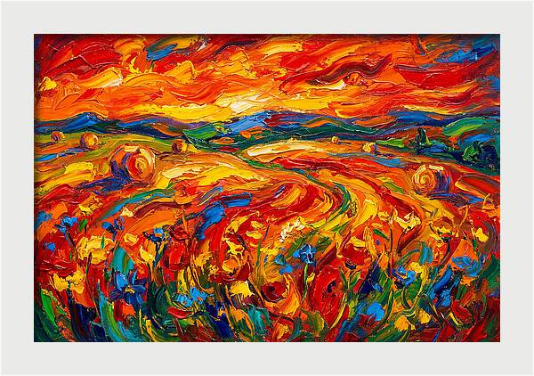 Summer Field Vibrance