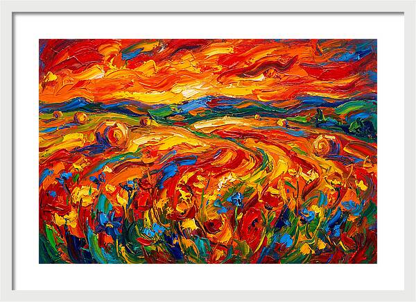 Summer Field Vibrance