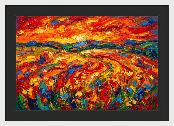 Summer Field Vibrance