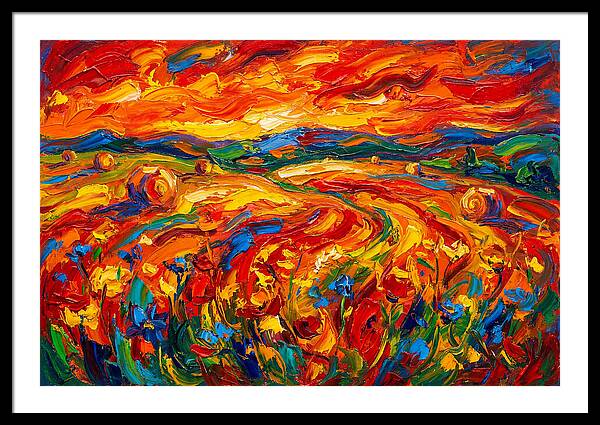 Summer Field Vibrance